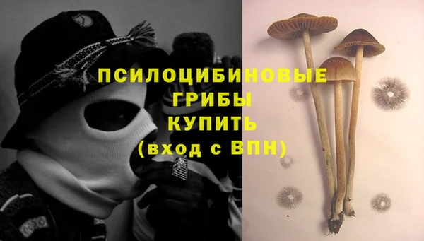 ГАЛЛЮЦИНОГЕННЫЕ ГРИБЫ Саяногорск