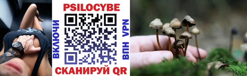 Купить где  Сальск  Псилоцибиновые грибы ЛСД 